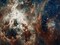 Tarantula Nebula - Compressed Version Poster Print by NASA - Item # VARPDX393590